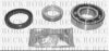 BORG & BECK BWK317 Wheel Bearing Kit